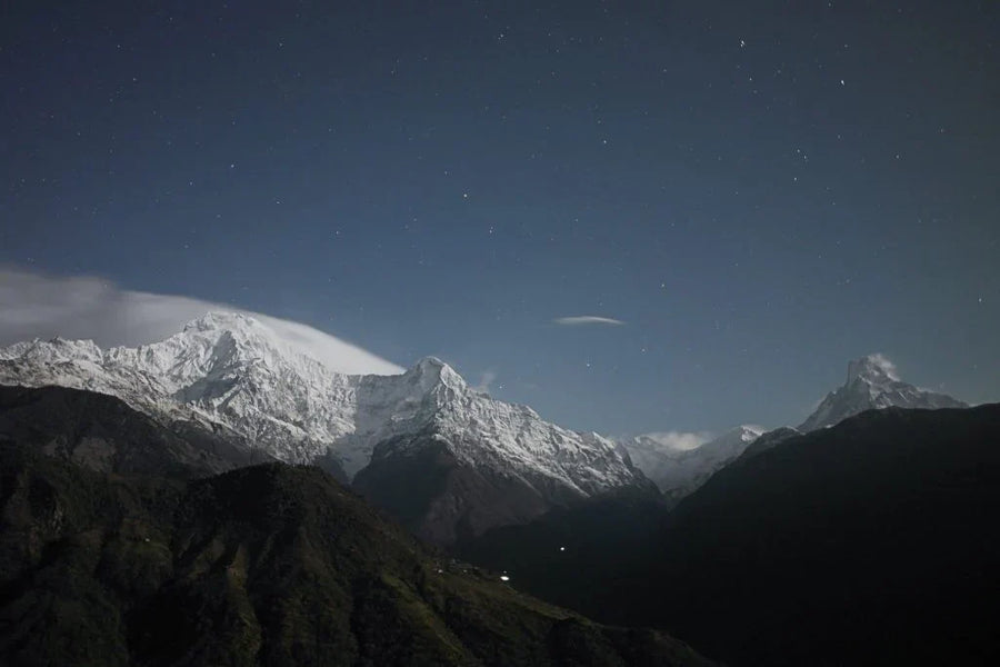 Honey Hunters of Nepal