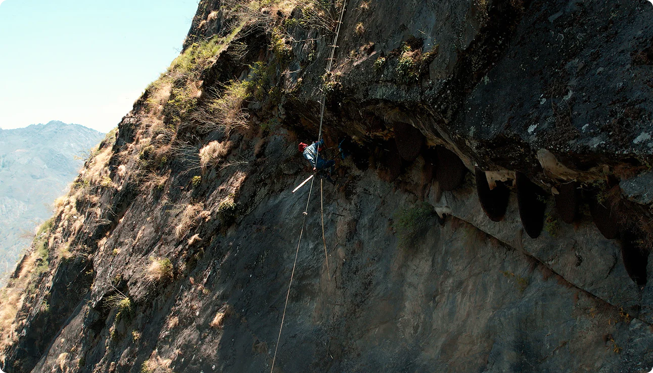 The Dangerous Descent.